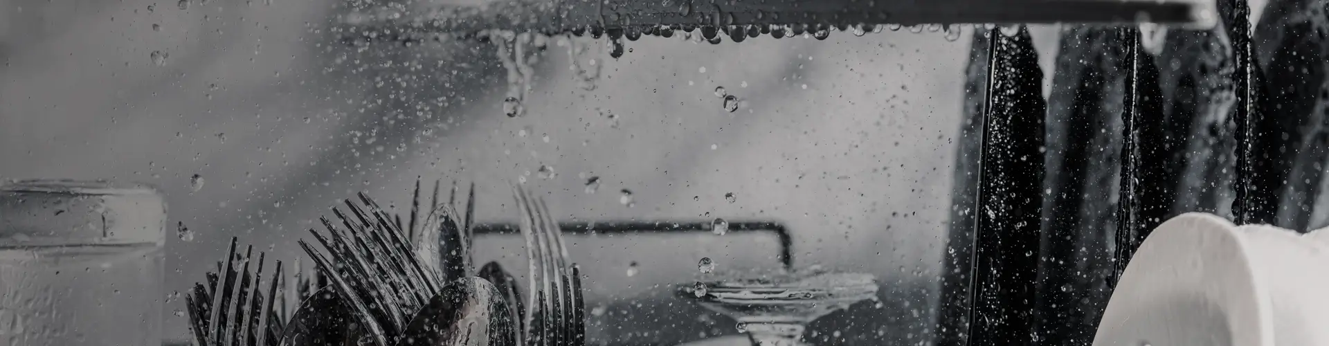 Dishes Banner Image