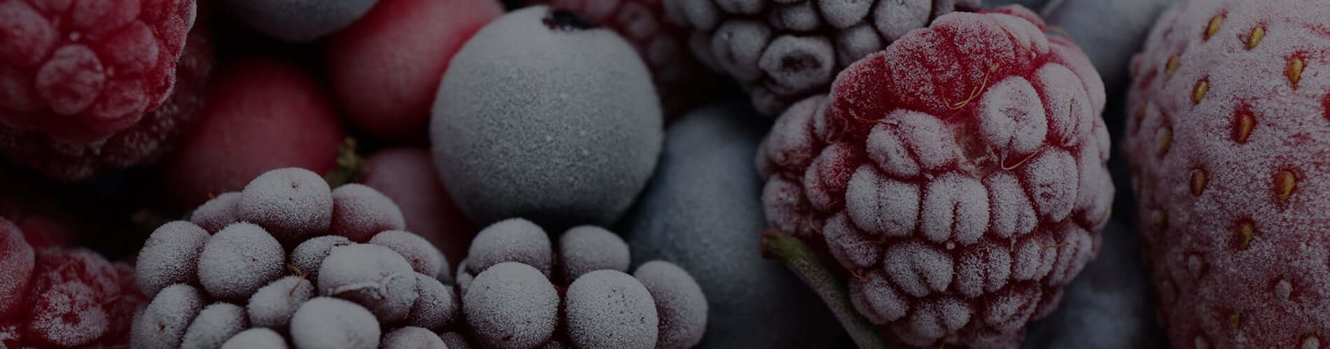 Freezers Banner Image